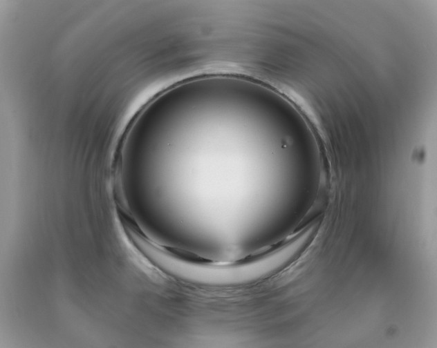 X0000091691342200709061117