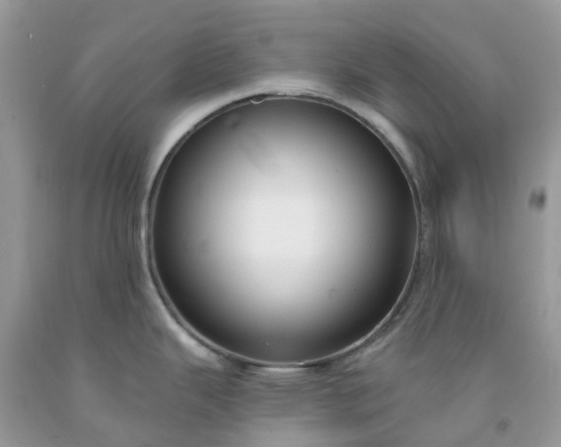 X0000091691343200709061117