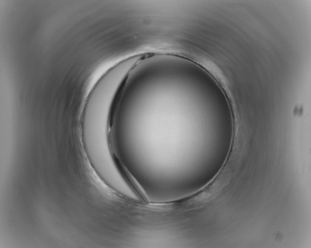 X0000091691344200709061117