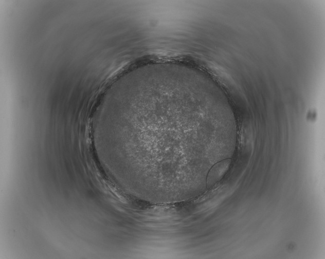 X0000091691346200709061116