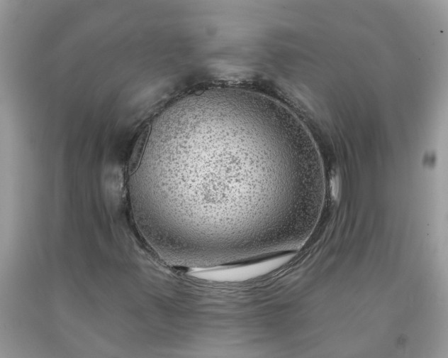 X0000091691347200709061116