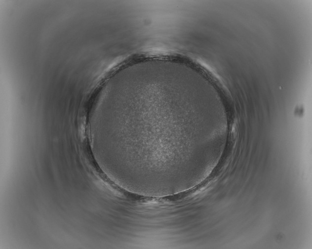 X0000091691348200709061116