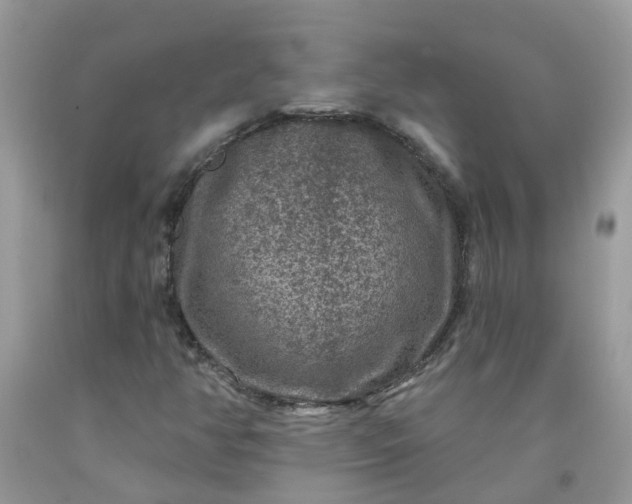 X0000091691350200709061116