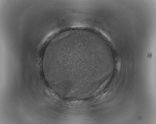 X0000091691351200709061116