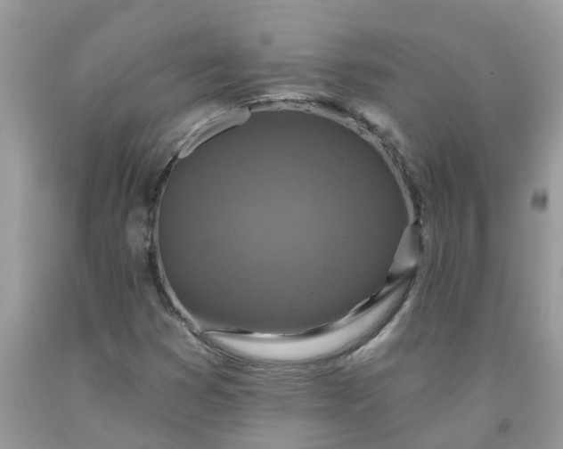 X0000091691353200709061116