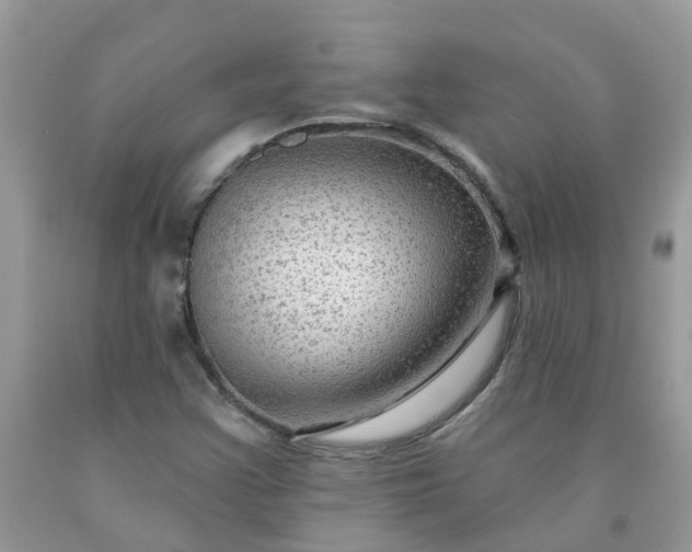 X0000091691355200709061116