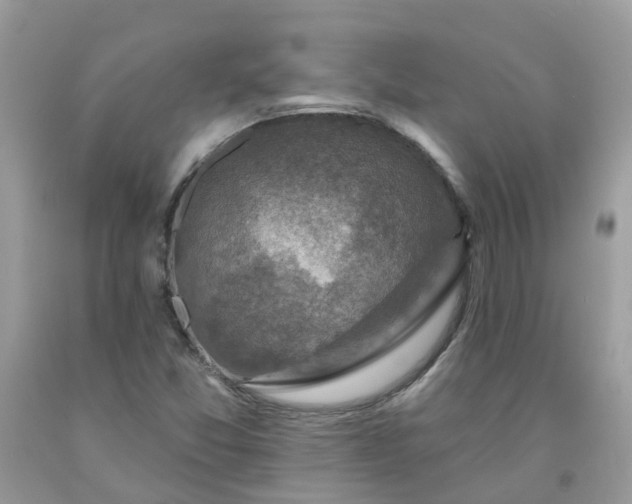 X0000091691357200709061116