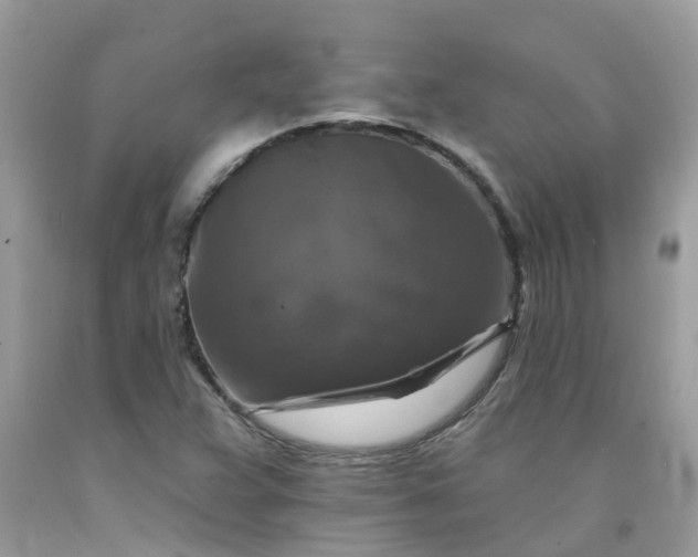 X0000091691359200709061116