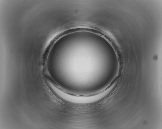 X0000091691360200709061116