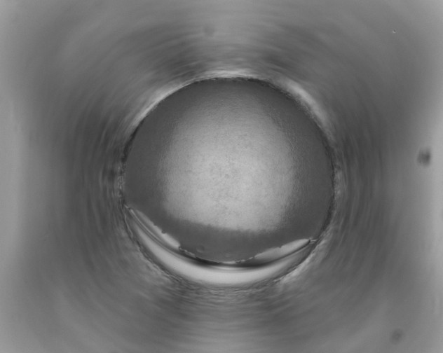 X0000091691361200709061116