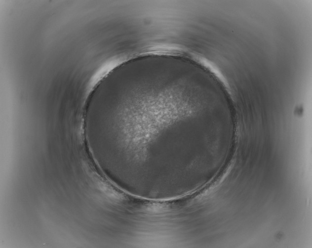 X0000091691362200709061116