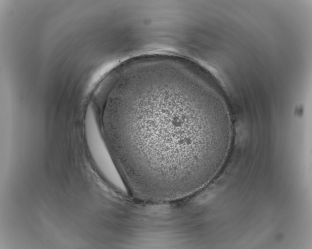X0000091691363200709061116