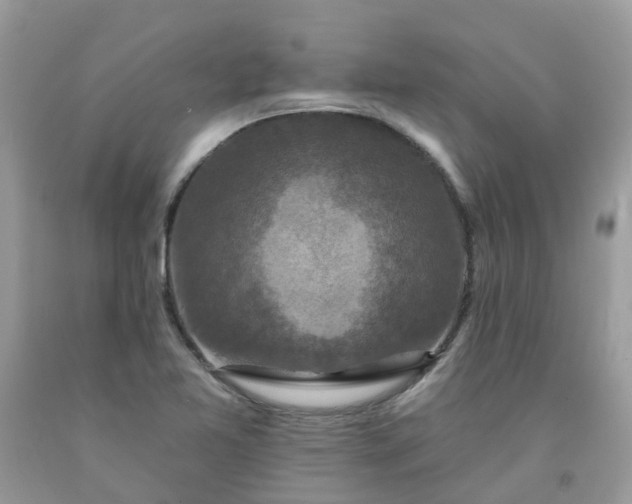 X0000091691365200709061116