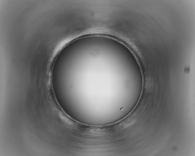 X0000091691366200709061116