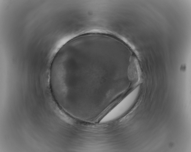 X0000091691367200709061116