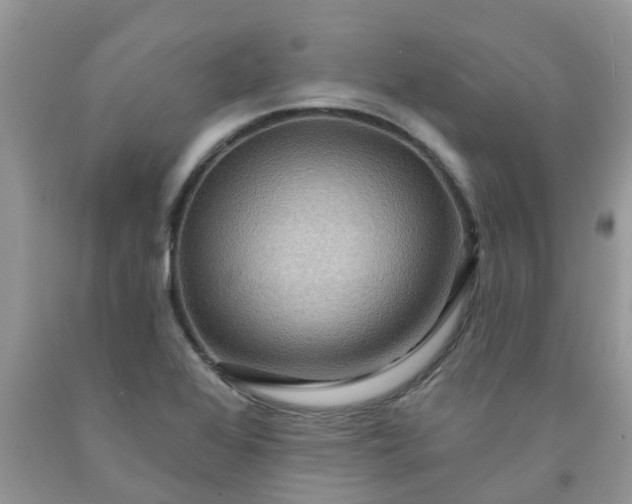 X0000091691368200709061116