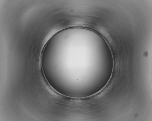 X0000091691370200709061116