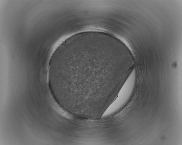 X0000091691371200709061116