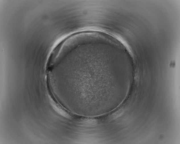 X0000091691372200709061116