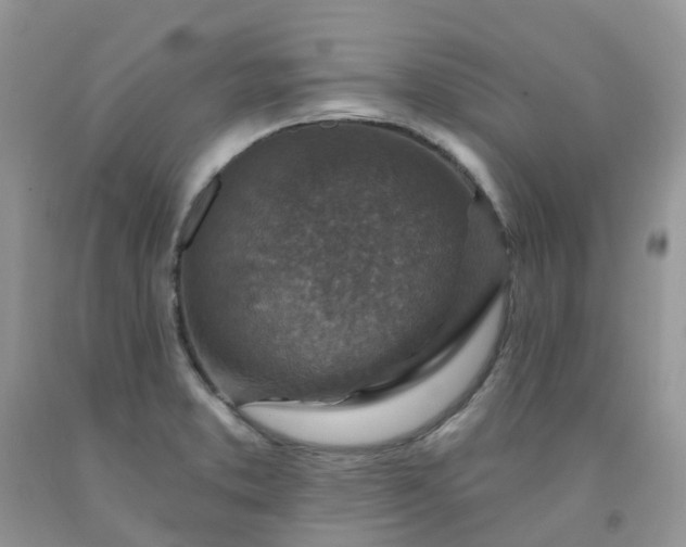 X0000091691373200709061116