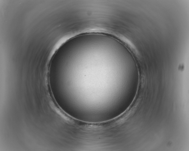 X0000091691374200709061116