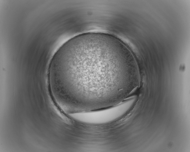X0000091691375200709061116