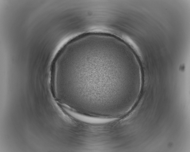 X0000091691376200709061116