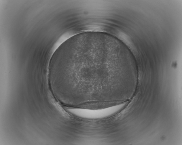 X0000091691378200709061116