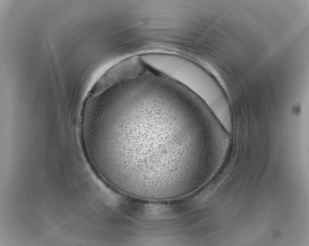 X0000091691379200709061116