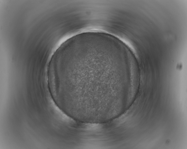 X0000091691382200709061116