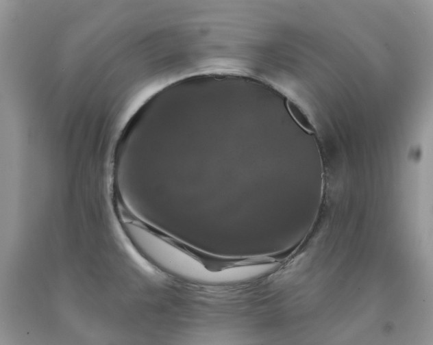 X0000091691383200709061116