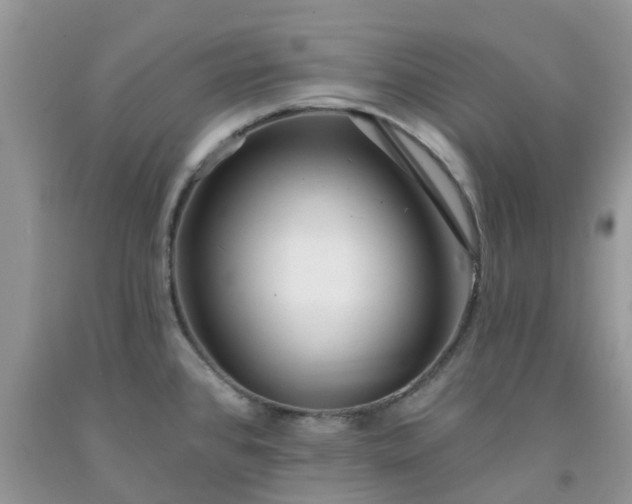 X0000091691384200709061116