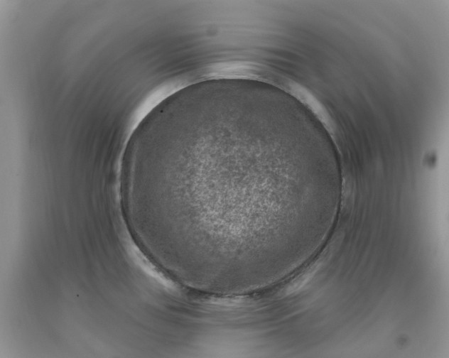 X0000091691386200709061116