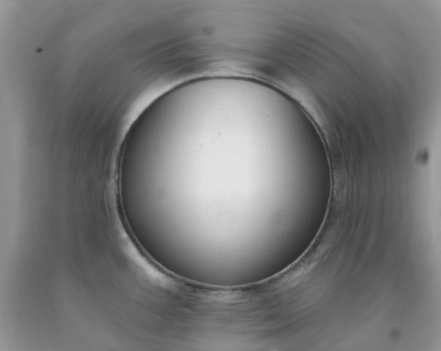 X0000091691387200709061116