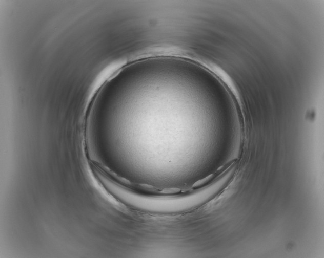 X0000091691389200709061116