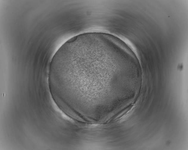 X0000091691390200709061116