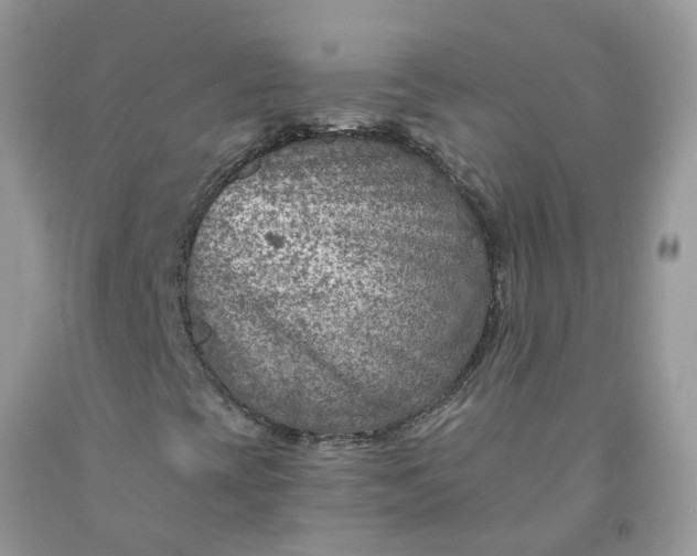 X0000091691393200709061115