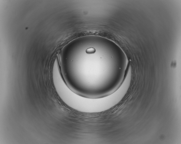 X0000091691394200709061115