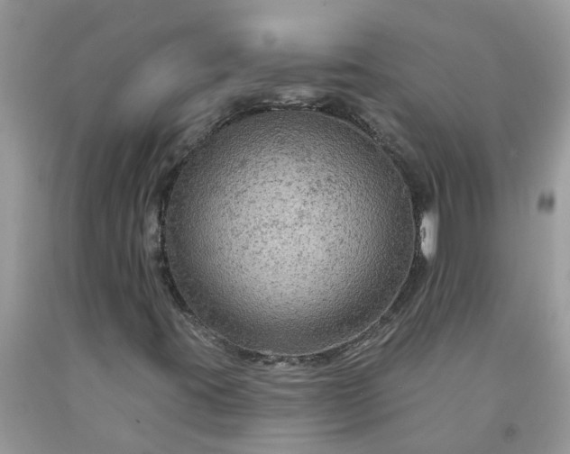 X0000091691395200709061115