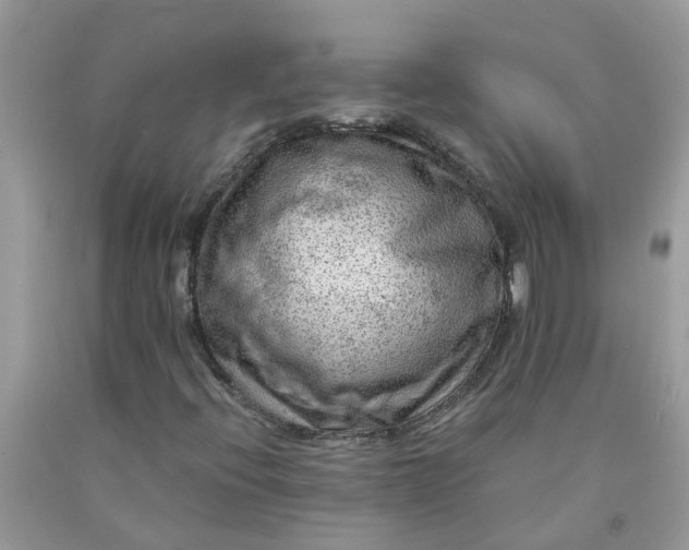 X0000091691396200709061115