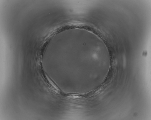X0000091691397200709061115