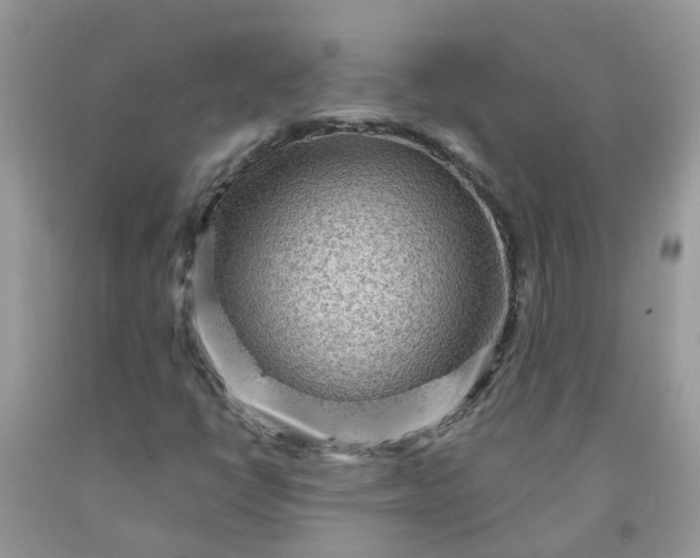 X0000091691398200709061115