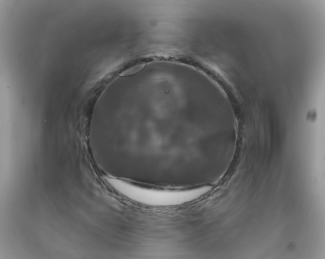 X0000091691399200709061115