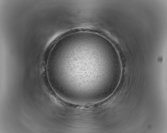X0000091691400200709061115