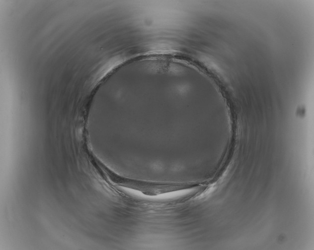 X0000091691401200709061115