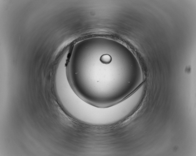 X0000091691402200709061115