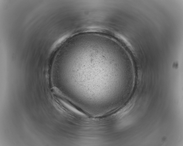 X0000091691403200709061115