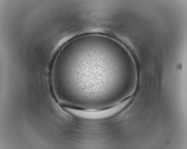 X0000091691404200709061115