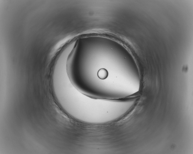 X0000091691406200709061115