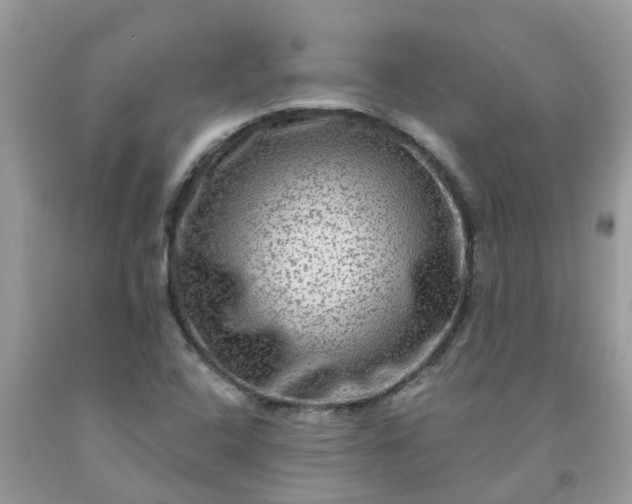 X0000091691408200709061115